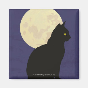 Imán Gato negro y la luna