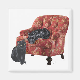 Imán Gato negro y terrier escocés en una silla roja