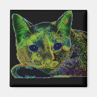 Imán Gato Neon Blue Eyed
