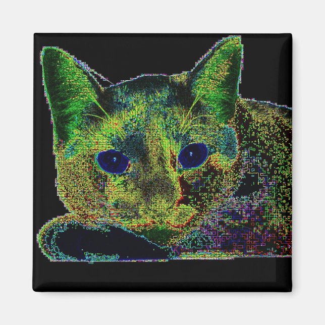 Imán Gato Neon Blue Eyed (Frente)