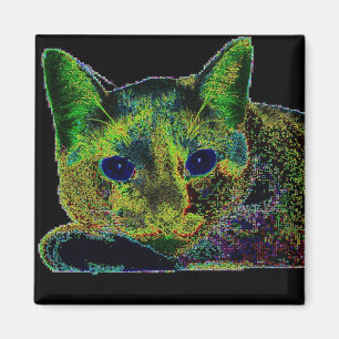 Imán Gato observado azul de neón