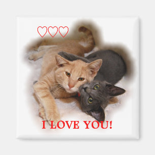 Imán Gato Pareja Te Amo Magnet