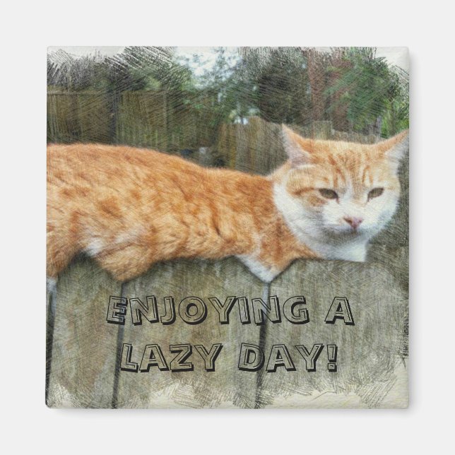 Imán Gato perezoso (Frente)