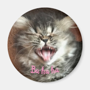 Imán Gato persa gracioso riéndose gatito gracioso