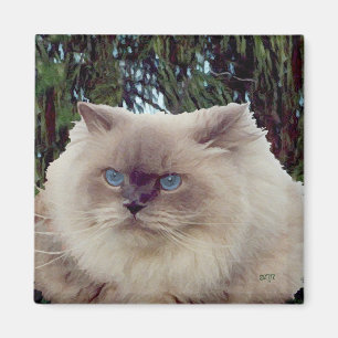 Imán Gato Persa Himalayo