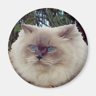 Imán Gato Persa Himalayo