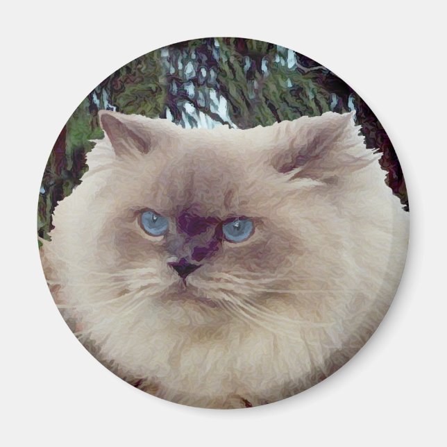 Imán Gato Persa Himalayo (Frente)