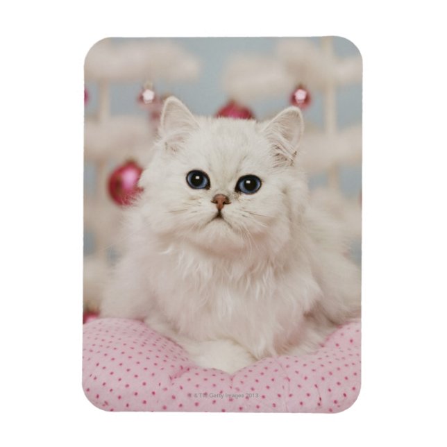 Imán Gato persa sentado en una almohada rosa (Vertical)
