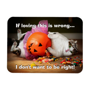 Imán Gato Princesa Con Cubo De Candy