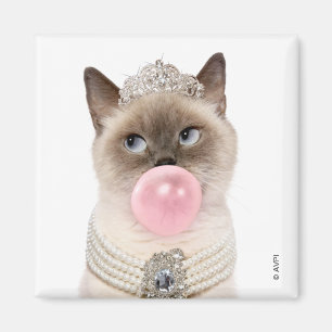 Imán Gato Princesa Soplando Goma De Burbuja