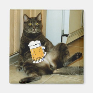 Imán Gato que come una cerveza
