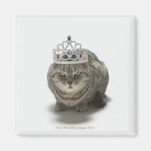 Imán Gato que lleva una tiara