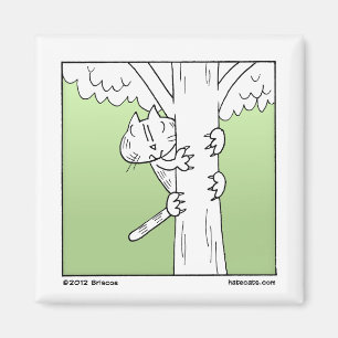 Imán Gato que sube del árbol