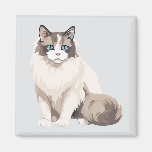 Imán Gato Ragdoll (Frente)