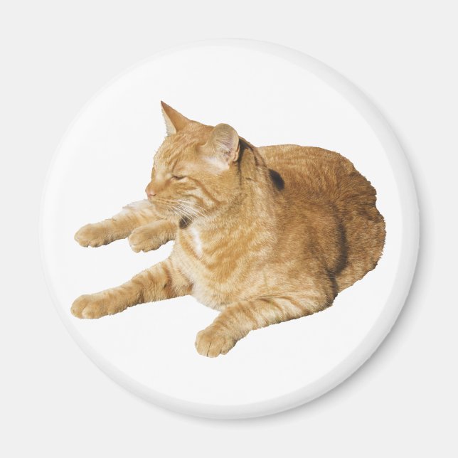 Imán Gato relajado (Frente)