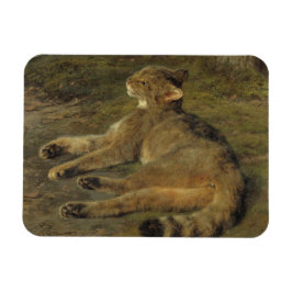 Imán Gato salvaje (de Rosa Bonheur)