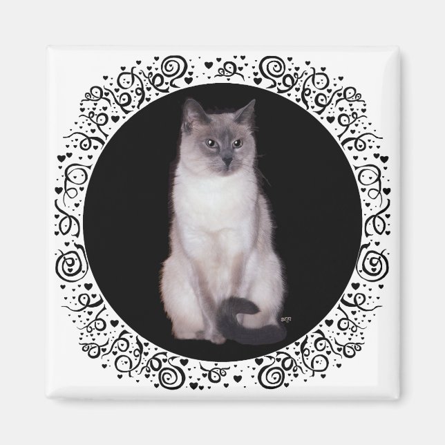 Imán Gato Siamés (Frente)