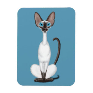 Imán Gato siamés