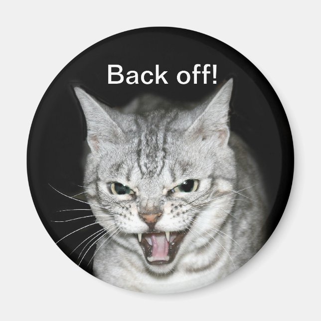 Imán Gato silvestre (Frente)