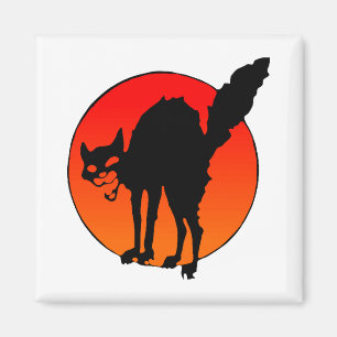 Imán Gato sindicado