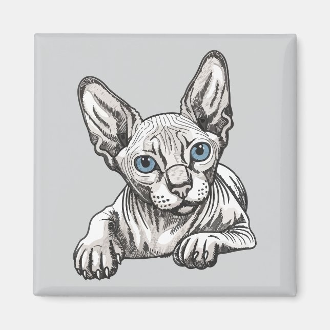 Imán Gato Sphynx sin pelo (Frente)