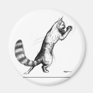 Imán Gato Springs2