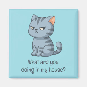 Imán Gato Tabby Gris Malhumorado Texto Divertido Azul