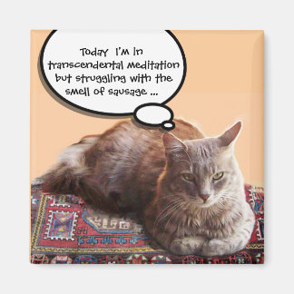 IMÁN GATO TURCO EN MEDITACIÓN TRANSCENDENTAL
