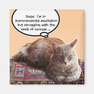 IMÁN GATO TURCO EN MEDITACIÓN TRANSCENDENTAL