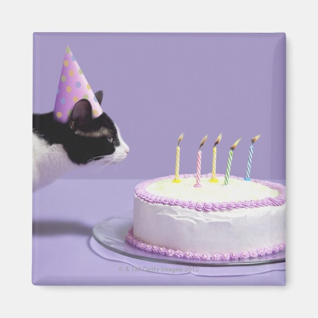 Imán Gato usando gorra de cumpleaños soplando velas (Frente)