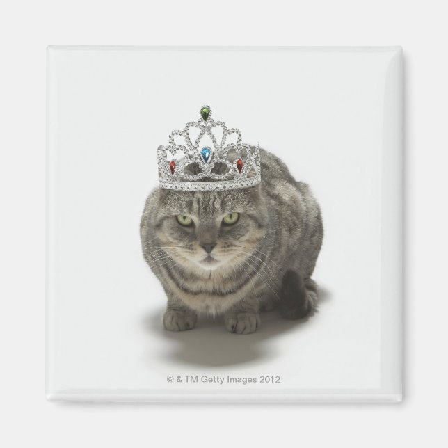 Imán Gato usando una tiara (Frente)