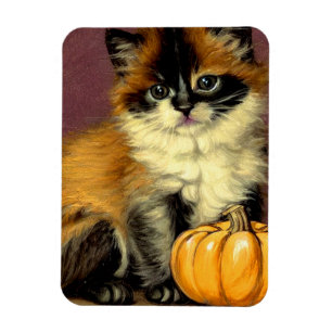 Imán Gato Vintage Ragdoll Halloween