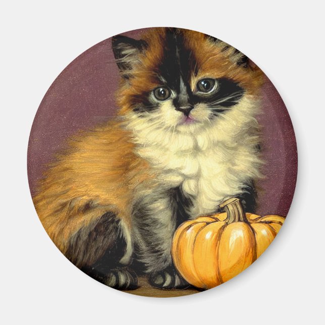 Imán Gato Vintage Ragdoll Halloween (Frente)