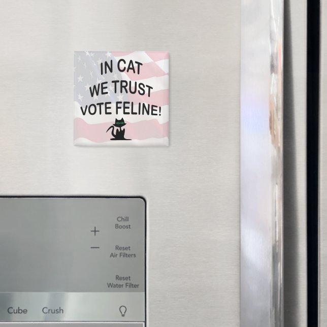 Imán Gato votado con bandera estadounidense (In situ (nevera))