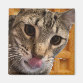Imán Gato Waffles