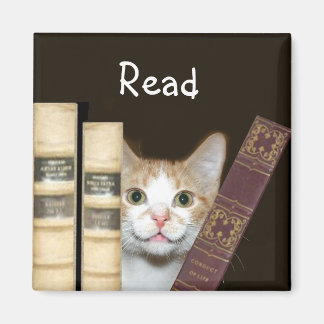 Imán Gato y libros