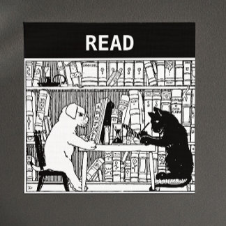 Imán Gato y perro en la biblioteca