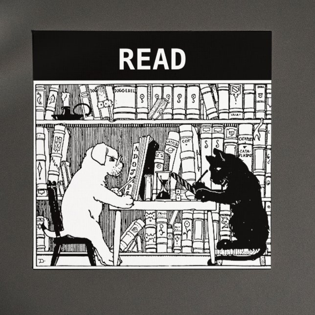 Imán Gato y perro en la biblioteca (Subido por el creador)