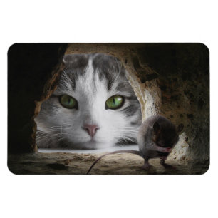 Imán Gato y ratón