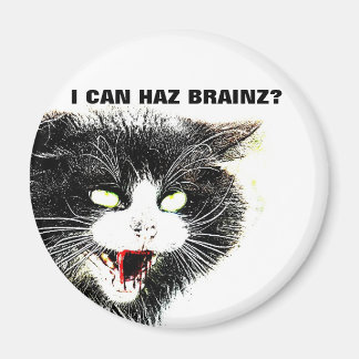 Imán Gato Zombie Puedo Haz Brainz Magnet