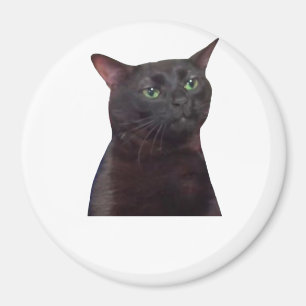Imán Gato Zoned Out, desconectado