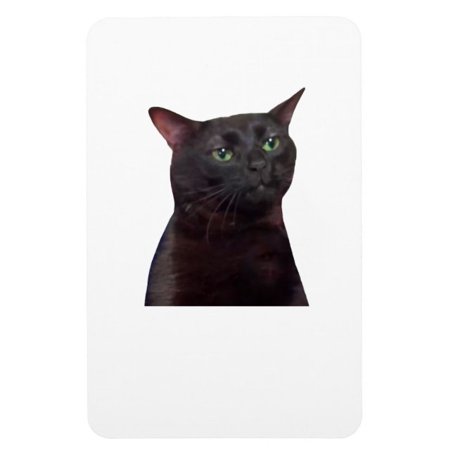 Imán Gato Zoned Out, desconectado (Vertical)