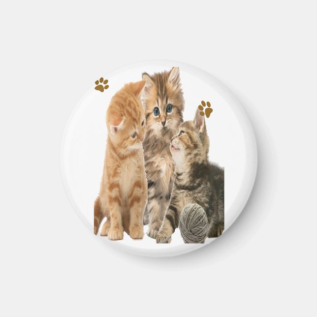 Imán Gatos (Frente)
