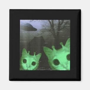 Imán Gatos alienígenas Ovni Divertido Meme de gato espe