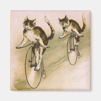 Imán Gatos Antiguos en Bicicletas