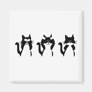 Imán Gatos Blancos Negros   Tres Gatitos Sabios