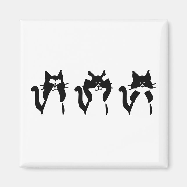 Imán Gatos Blancos Negros | Tres Gatitos Sabios (Frente)