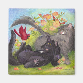 Imán Gatos, cardenales y Rosas/imán