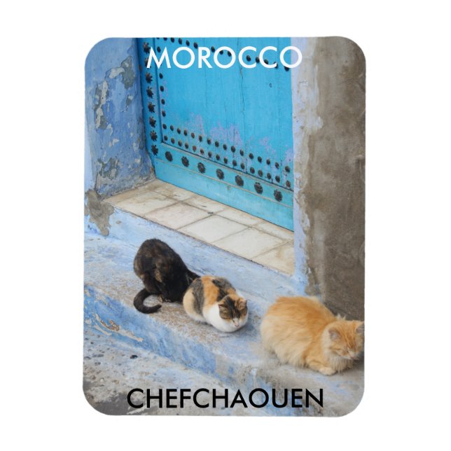 Imán Gatos, Chefchaouen, Marruecos (Vertical)