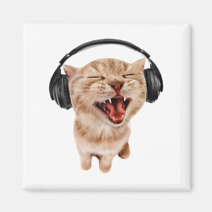 Imán Gatos con auriculares Meme para niños